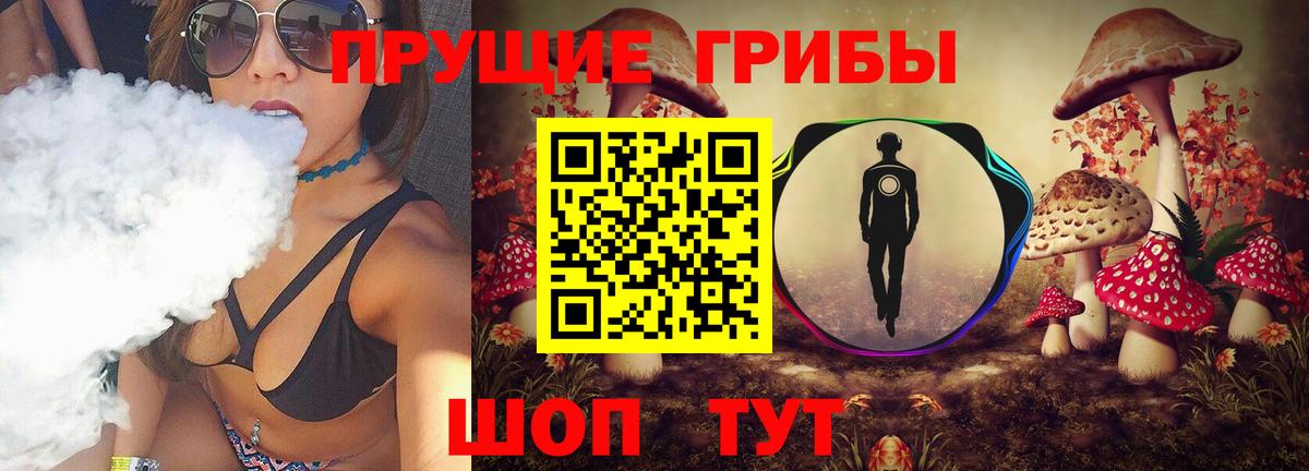 Псилоцибиновые грибы Magic Shrooms  Вход с VPN  Краснознаменск 